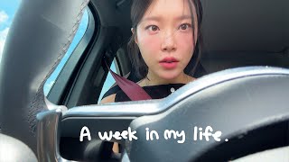 [VLOG] 일상 브이로그 | 습기와 싸우는 제주 카페 사장의 하루 | 재교정 시작..💦 | 감자식과의 전쟁 | 카덴 이자카야 홍보 영상 | smp 리터치 (적극추천,,🌟)