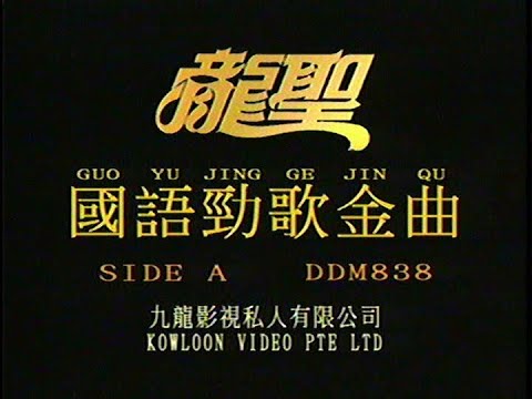 Logo+傻瓜 （龍聖）