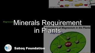 Minerals Requirement in Plants