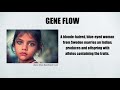 Genetic Variation and Evolution Concepts