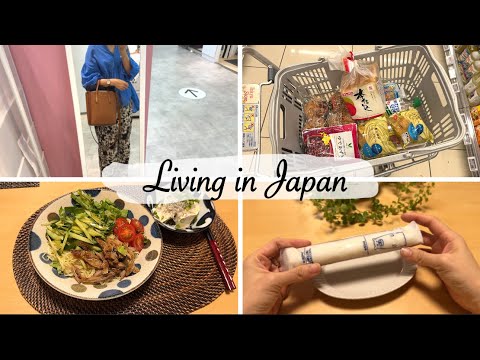 shopping at new Ikea store, cold Ramen for dinner on a hot day | housewife's daily