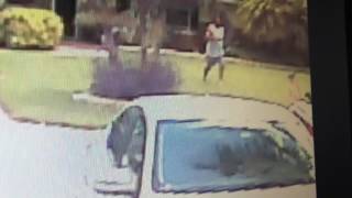 My Security Camera Finally Caught Something!