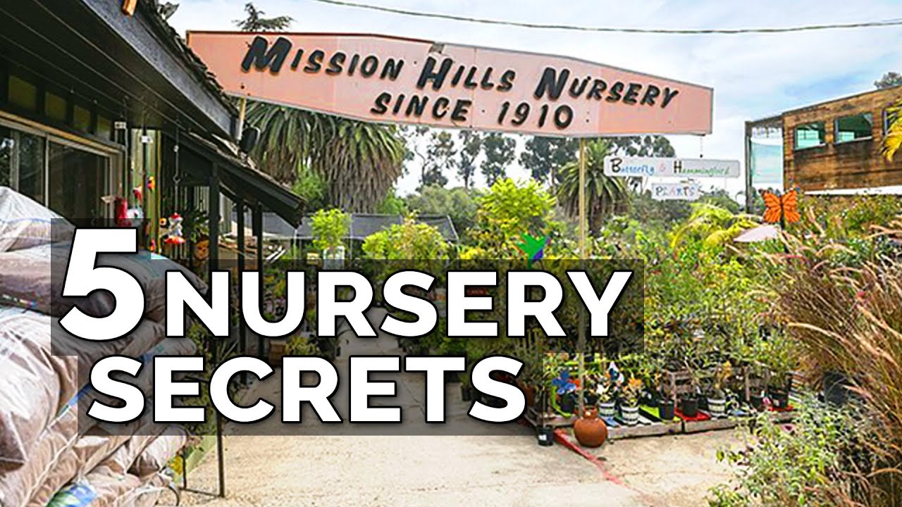 Get TWICE The Seedlings For The SAME Price 5 Nursery Secrets