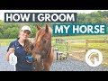 Horse Grooming and Care Practices