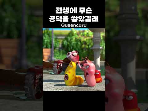 전생에 무슨 공덕을 쌓았길래 Queencard | #Shorts