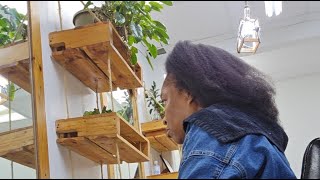 Two strand twist protective hairstyle on natural hair