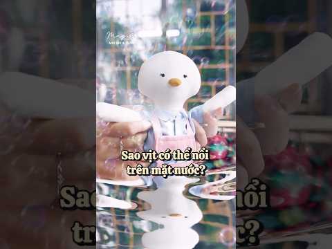 Sao vịt có thể nổi trên mặt nước? - Câu chuyện khoa học thú bông vải Tiệm Tạp Hoá Nhà May