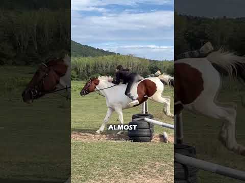 Facts about horses you didn't know ?