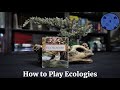 Ecologies Card Game Concepts