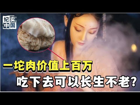 不是植物不是动物的一坨“肉”，万年不腐 可以卖出百万高价，吃下去能长生不老?【解密大行动】