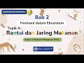 Kuis Ekosistem dan Rantai Makanan