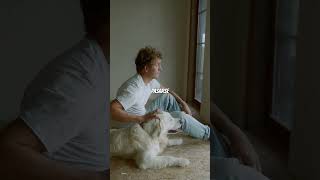 3 SEÑALES de que tu perro está TRISTE #perros #mascotas
