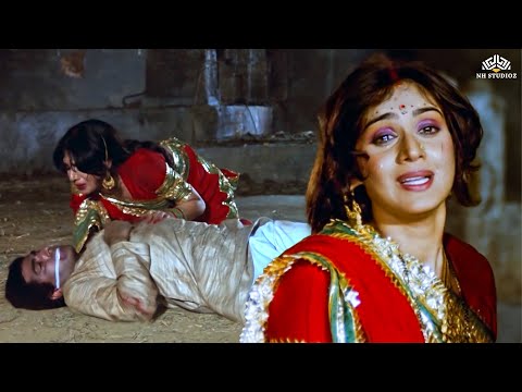 ज़हरीले साँप ने सुहागरात से पहले ही उजाड़ दिया घर —  मीनाक्षी शेषाद्रि का दर्द भरा सच