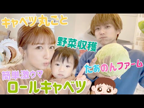【男の料理】丸ごとロールキャベツを作ってみた