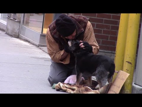 Most heartwarming moments caught on camera