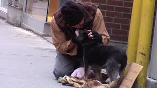 Most heartwarming moments caught on camera