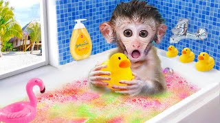 Cute monkey baby bath in the rainbow bathtub with duck |Animals Home Monkey Video