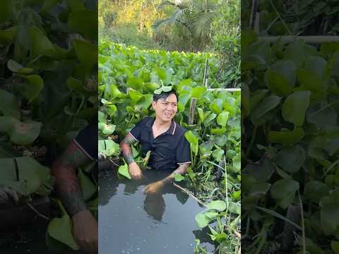 Mầy Ngon lắm  #thuongonha #videogiaitri