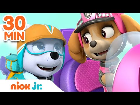 PAW Patrol Mighty Rescues w/ Skye & Everest! | 30 Minute Compilation | Nick Jr.