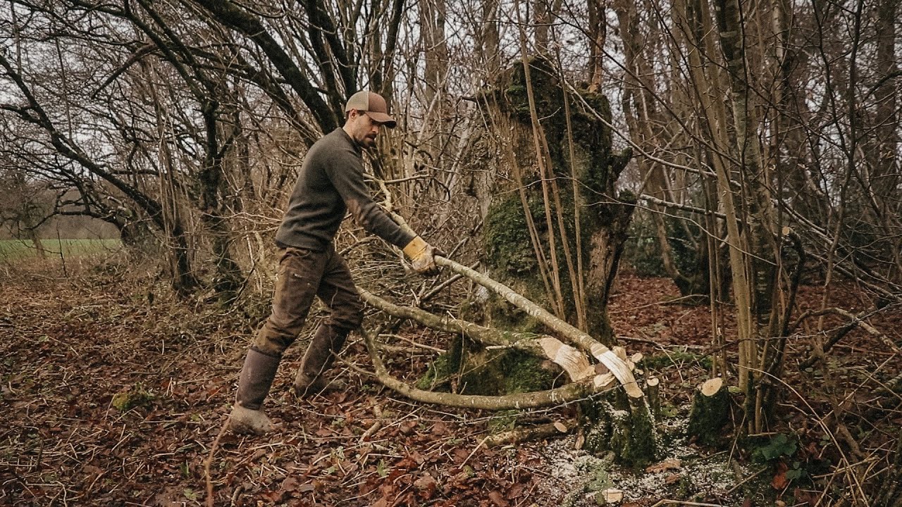 Bushcraft Skills: 1000 Year Old Traditional Technique Axe, Saw, Billhook