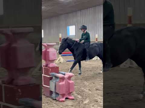 Velvet is just the best pony anyone could ever wish for. Someone needs to lease this perfect girl.