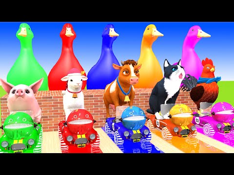 5 Giant Duck Cartoon,Cow,Elephant,zebra,Tiger,Lion, Paint Wild Animals Crossing Fountain Animation