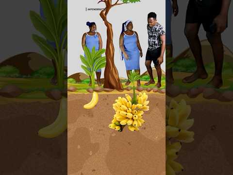 What's REALLY Behind the HUGE Banana Bunch Argument?