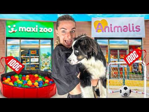 100€ MAXI ZOO VS 100€ ANIMALIS (édition spéciale chien, ça existe ça ???)