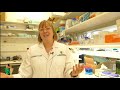 Enzyme Function and Inhibition Concepts