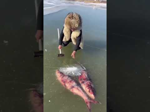 Fishing in Mongolia #fantasticworld