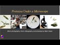 Microscopy and Organism Exploration