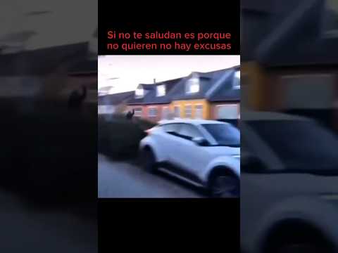 Yo también lo vi dos veces 🤣