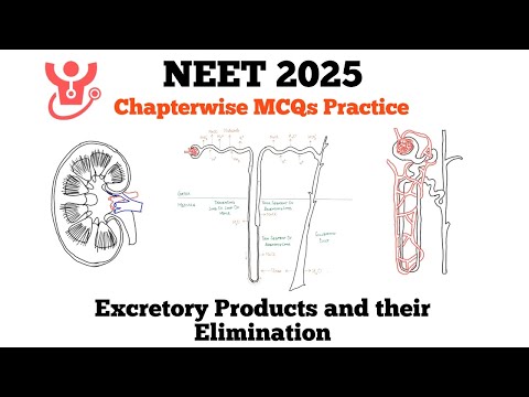 NEET 2025 : Test Yourself 🔥 | Excretory Product and their Elimination 📚 | NEET Biology MCQ Practice