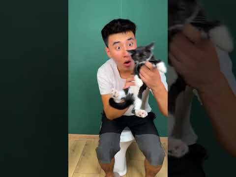 Kitty 🐈‍⬛🥹