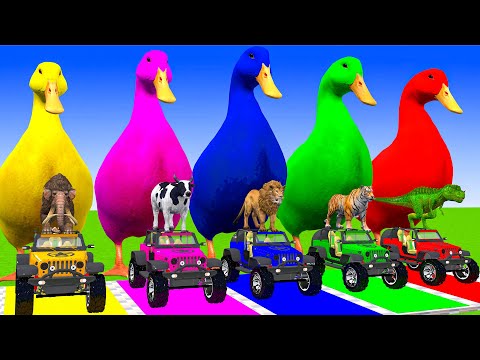 5 Giant Duck Cartoon, Paint & Animals Lion, Gorilla, Bear,Tiger , Cow Wild Animals Crossing Fountain