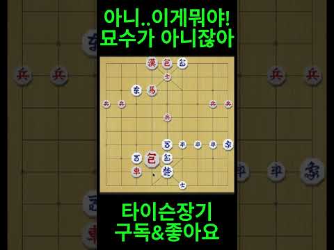 [쇼츠1425] 아니..이게뭐야! 묘수가 아니잖아 #shorts