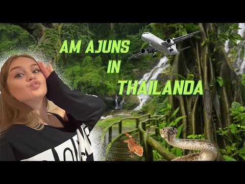 Thailanda #1 - Am văzut șopârlee 🦎🤪💕