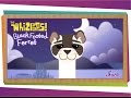 Ferret Behavior and Characteristics