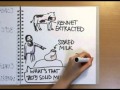 Cheese Making Processes and Techniques
