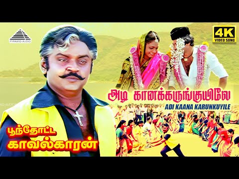 Adi Kaana Karunkuyile 4k Video Song | Poonthotta Kavalkaran | அடி கான கருங்குயிலே | Vijayakanth