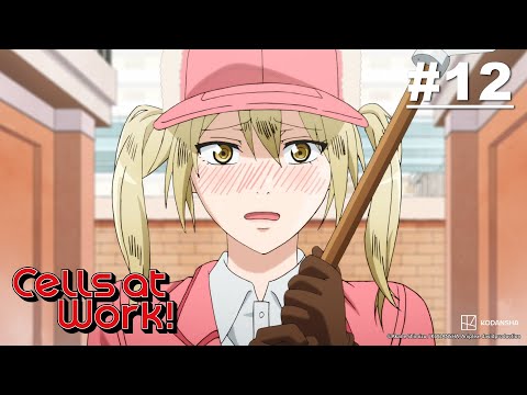 Cells at Work! Episod 12 [Malay Sub] | Muse Malaysia