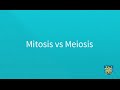 Comparing Mitosis and Meiosis Simplified