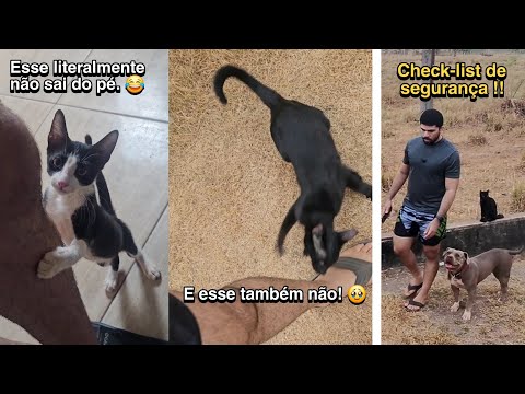 O mundo quase "se acabou" hoje 🙆🏻‍♂️  #Vlog