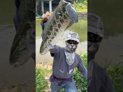 This brother is so good at catching fish. #outdoors #spiderman #bassfishing