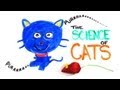 Understanding Cats: Biology and Behavior