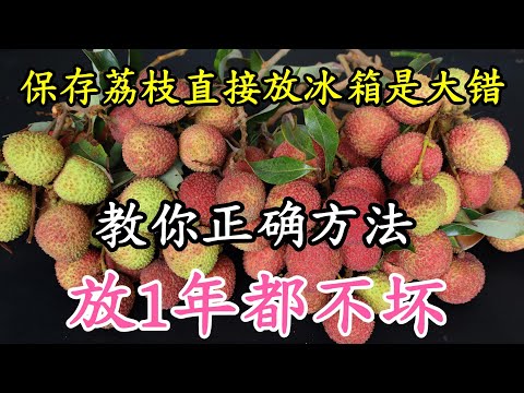 保存荔枝直接放冰箱是大錯！教你正確方法，放1年照樣香甜多汁，趕緊試一試，Lychee Storage Tips: Fresh for a Year! ライチの保存法：1年後も美味しい！리치 보관 비법