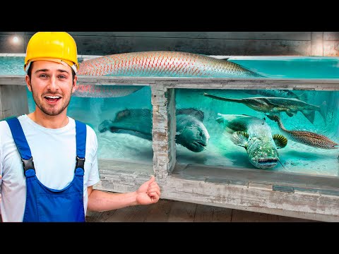 How I Built My $50,000 Dream Aquarium!