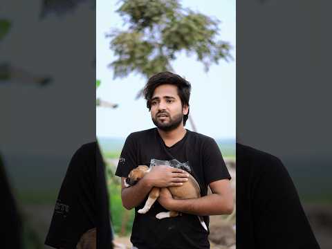 Save Animal || show Some Humanity || #shortfilm #youtubeshorts #dilshad07x