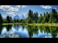 Forest Biomes and Their Characteristics