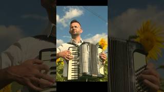 This French accordion energy is unmatched! |La Noyée – Yann Tiersen #shorts #accordionplayer #music